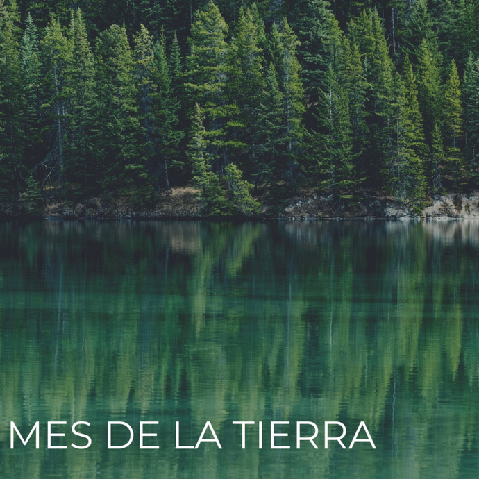 MES DE LA TIERRA: CELEBRAMOS NUESTRA CONEXIÓN CON LA NATURALEZA